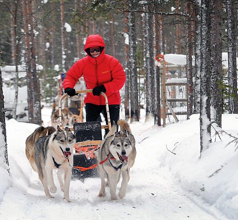 Unvergesslicher Finnland Kurztrip: Machen Sie eine Husky-Safari 