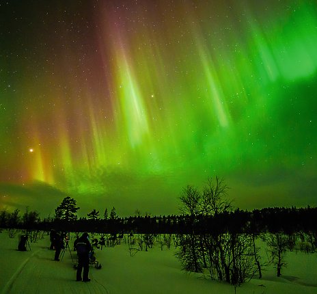 Mit etwas Glück kommen Sie in den Genuss der Polarlichter in Finnland. 