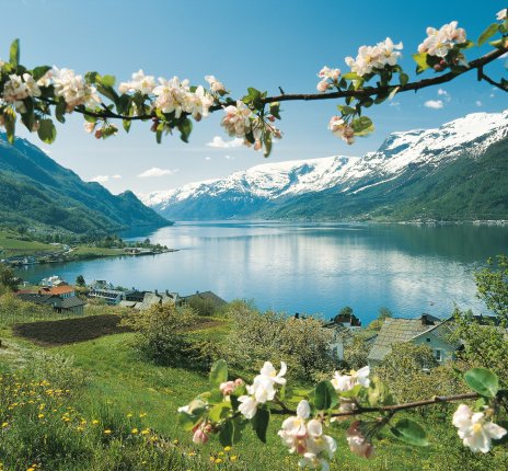 Von der Großstadt in die Natur – die Wunderwelt der Fjorde wartet bei dieser Reise auf Sie. 