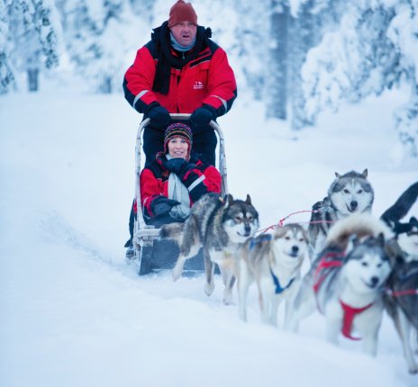 Bei einer eintägigen Schlittenhundetour erleben Sie Finnland von einer ganz neuen Seite. 