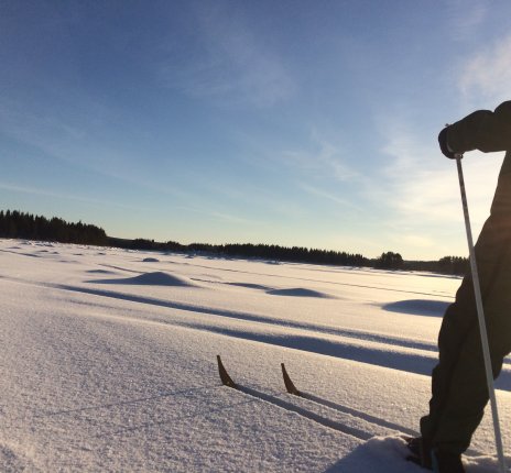 Langlaufen ist im Winter die Sportart der Nordschweden. Die Loipe beginnt direkt hinter dem Hotel, probieren Sie es mal aus! © Maria Broberg
