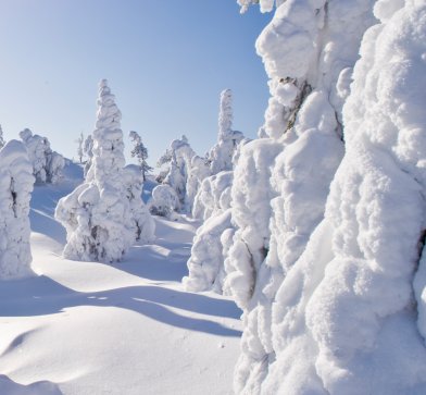 Winterfun in Lappland