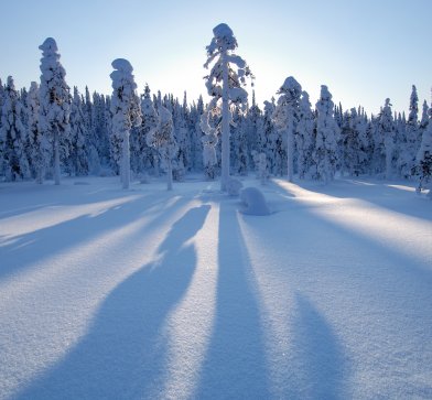 Schwedische Winter-Landschaften warten auf Sie bei dieser Kurzreise.