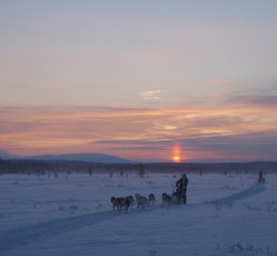 Die weitläufige Winterlandschaft möchte von Ihnen in Ihrem Urlaub zu Fuß oder auf dem Schlitten erkundet werden.