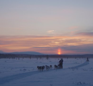 Die weitläufige Winterlandschaft möchte von Ihnen in Ihrem Urlaub zu Fuß oder auf dem Schlitten erkundet werden.