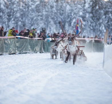 Wintermarkt Jokkmokk