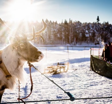 Wintermarkt in Jokkmokk, Fotograf Carl-Johan Utsi