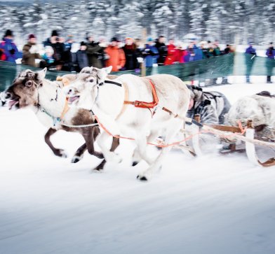 Wintermarkt in Jokkmokk, Fotograf Carl-Johan Utsi