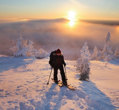 Im Wintersportzentrum Ruka können Sie sich sowohl auf den Pisten beim Ski Alpin oder auch beim Langlauf austoben.