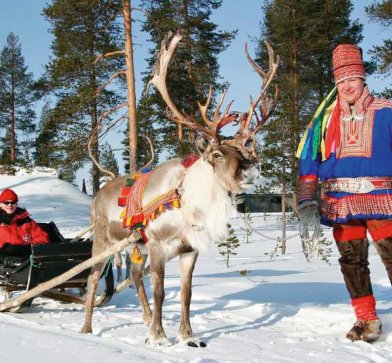 Auch Rentier-Erlebnisse in Finnisch Lappland können Sie in Ihrem Urlaub erleben.