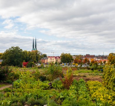 Gärten in Växjö