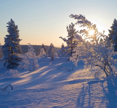 Kirkenes im Winter© Hurtigruten