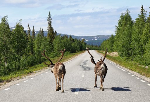 Lappland
