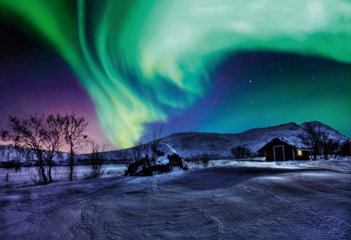 Für viele gehören die atemberaubenden Nordlichter zum Höhepunkt der Reise. &copy; Michael Törnkvist